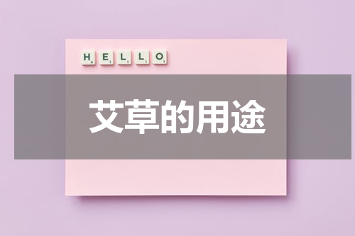 艾草的用途