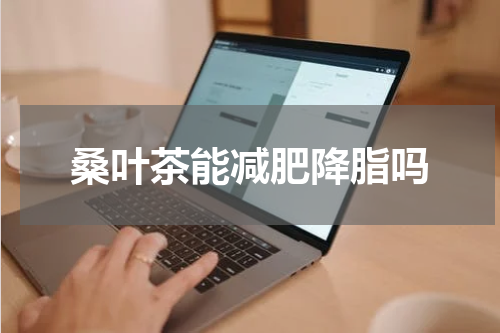 桑叶茶能减肥降脂吗