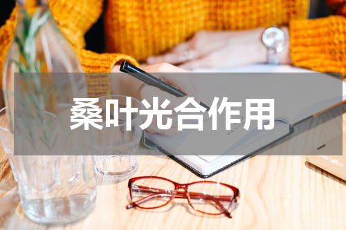 桑叶光合作用
