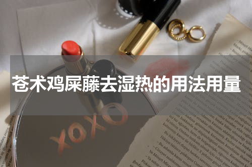 苍术鸡屎藤去湿热的用法用量