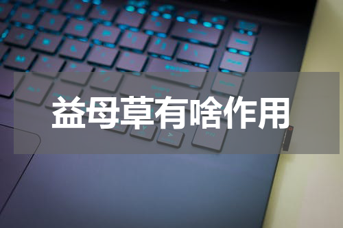 益母草有啥作用