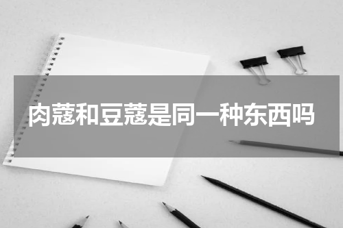 肉蔻和豆蔻是同一种东西吗