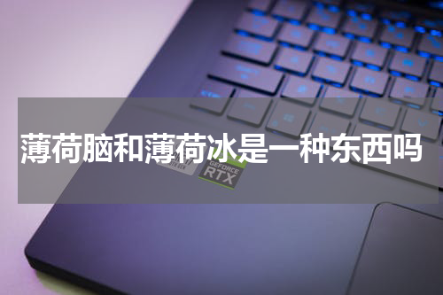 薄荷脑和薄荷冰是一种东西吗
