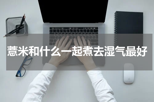 薏米和什么一起煮去湿气最好