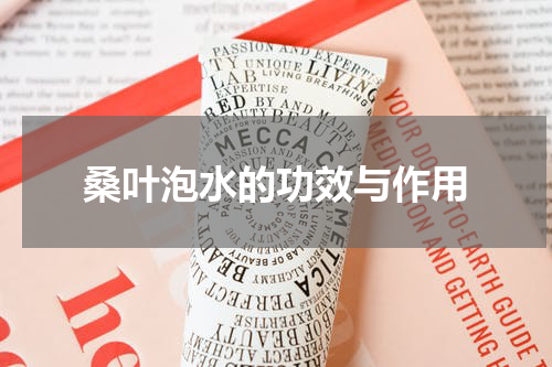 桑叶泡水的功效与作用