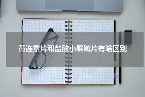 黄连素片和盐酸小檗碱片有啥区别