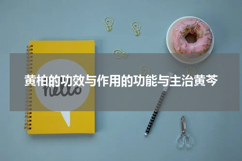 黄柏的功效与作用的功能与主治黄芩