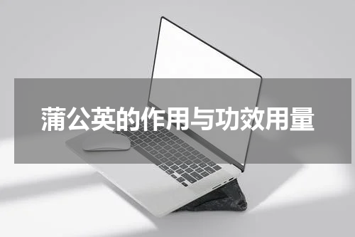 蒲公英的作用与功效用量
