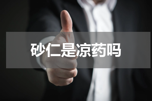 砂仁是凉药吗