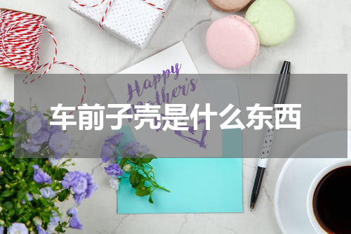 车前子壳是什么东西