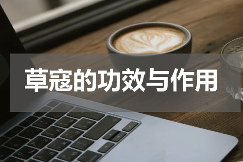 草寇的功效与作用