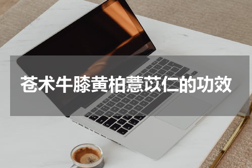 苍术牛膝黄柏薏苡仁的功效
