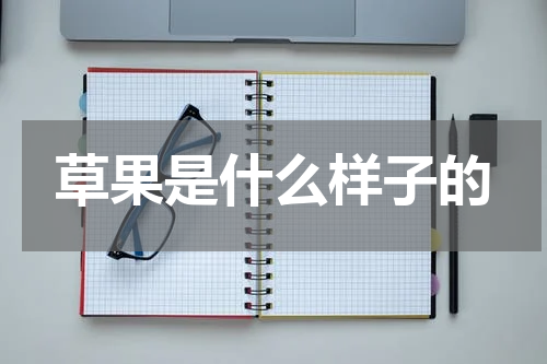 草果是什么样子的