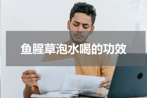 鱼腥草泡水喝的功效