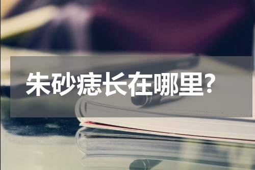 朱砂痣长在哪里?