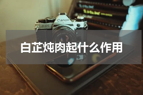 白芷炖肉起什么作用