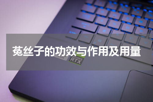 菟丝子的功效与作用及用量