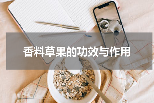 香料草果的功效与作用