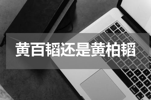 黄百韬还是黄柏韬