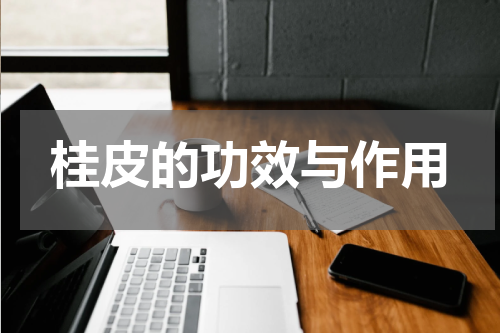 桂皮的功效与作用