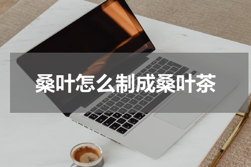 桑叶怎么制成桑叶茶