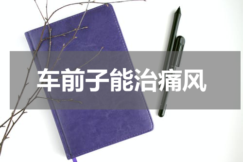 车前子能治痛风