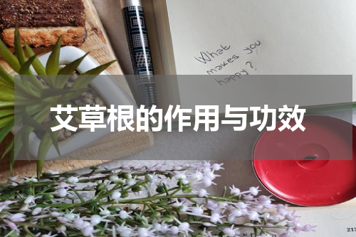 艾草根的作用与功效