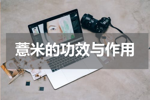 薏米的功效与作用