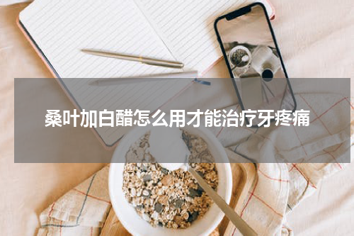 桑叶加白醋怎么用才能治疗牙疼痛