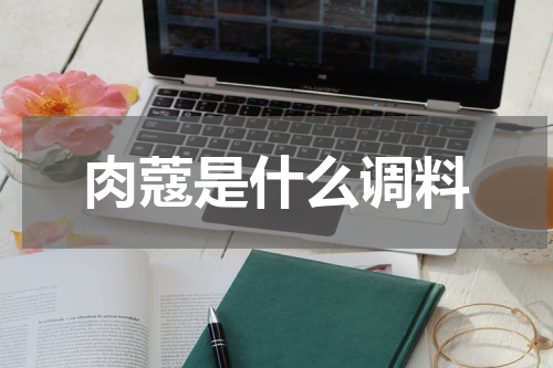 肉蔻是什么调料