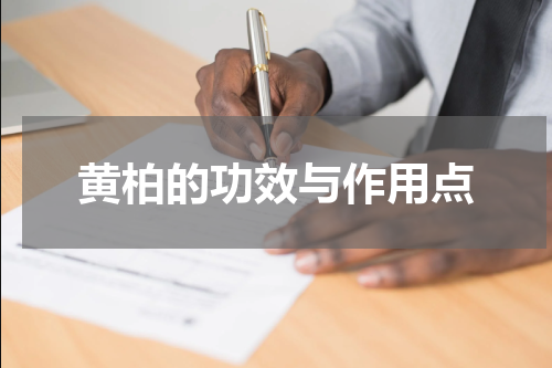 黄柏的功效与作用点