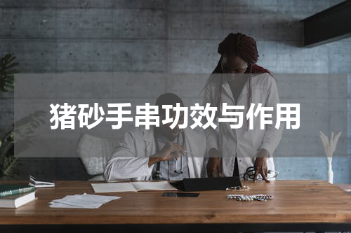 猪砂手串功效与作用