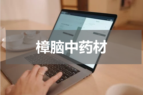 樟脑中药材