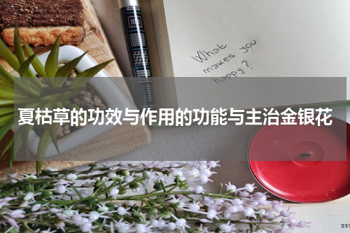 夏枯草的功效与作用的功能与主治金银花