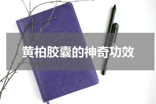 黄柏胶囊的神奇功效