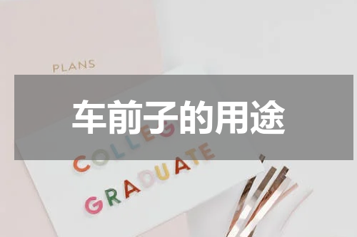车前子的用途