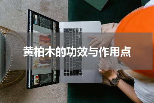 黄柏木的功效与作用点