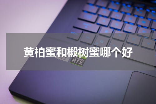 黄柏蜜和椴树蜜哪个好