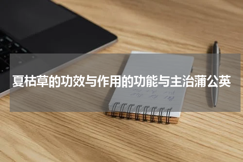 夏枯草的功效与作用的功能与主治蒲公英