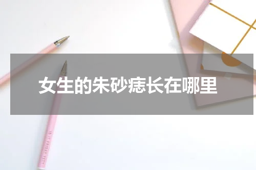 女生的朱砂痣长在哪里
