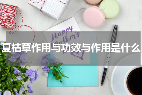 夏枯草作用与功效与作用是什么