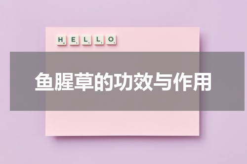 鱼腥草的功效与作用