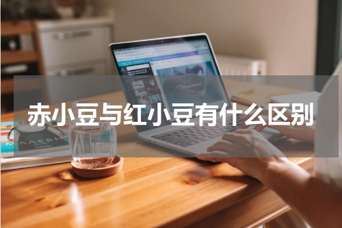 赤小豆与红小豆有什么区别