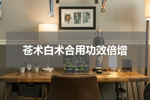 苍术白术合用功效倍增