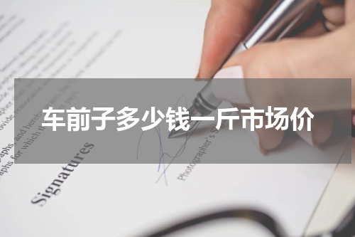 车前子多少钱一斤市场价