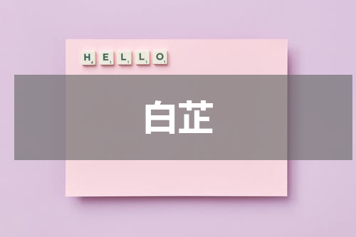白芷
