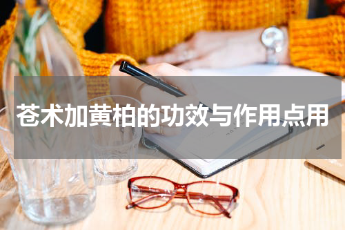 苍术加黄柏的功效与作用点用