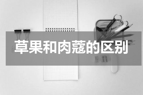 草果和肉蔻的区别