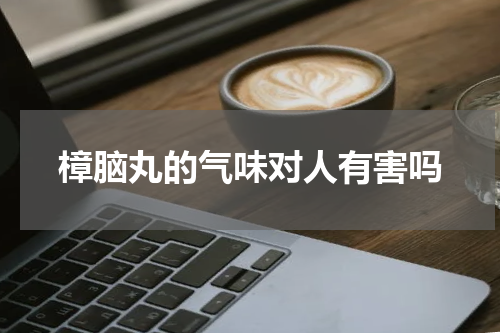 樟脑丸的气味对人有害吗