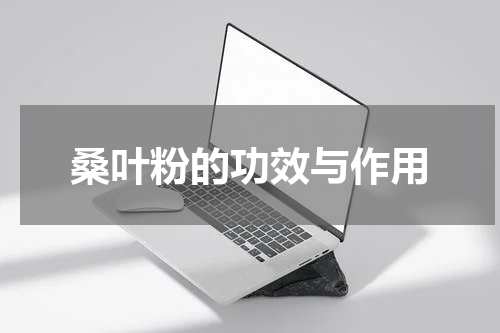 桑叶粉的功效与作用